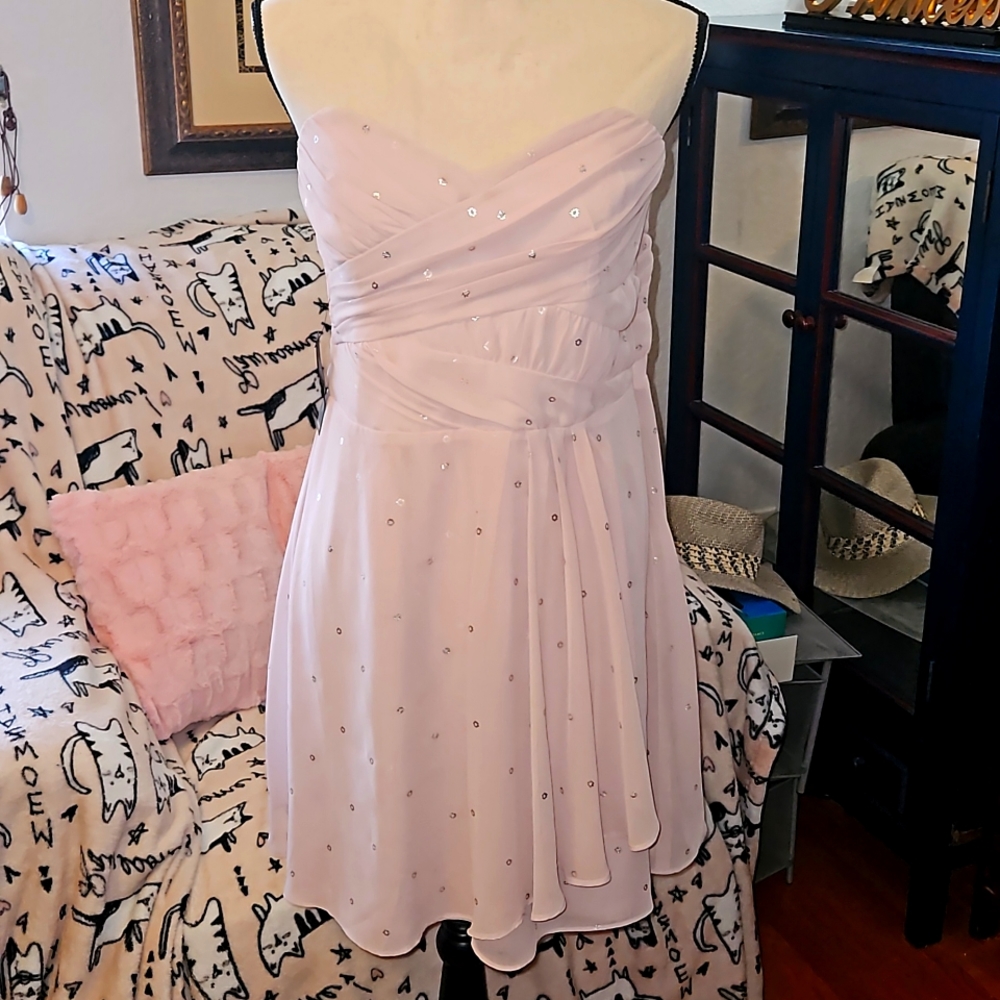 NWT Express Pink Strapless Mini Dress size 12